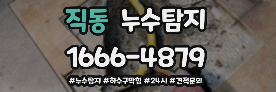 누수닥터 누수탐지