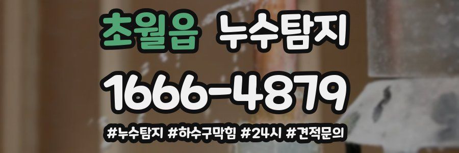 누수닥터 누수탐지