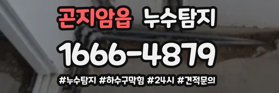 누수닥터 누수탐지