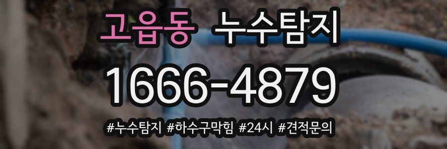 누수닥터 누수탐지