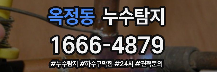 누수닥터 누수탐지