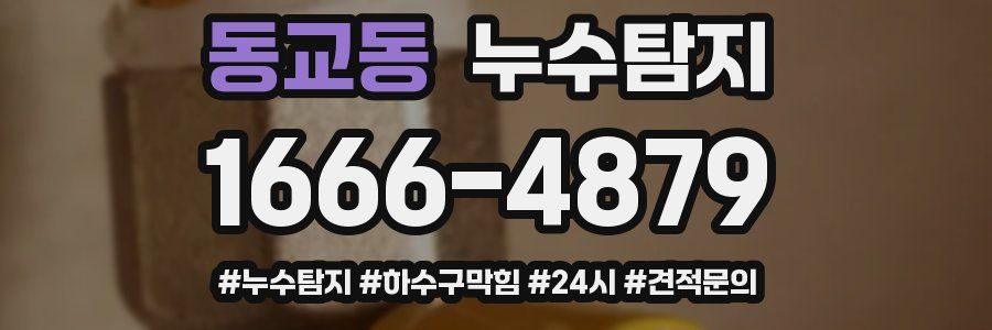 누수닥터 누수탐지