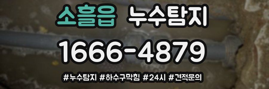 누수닥터 누수탐지