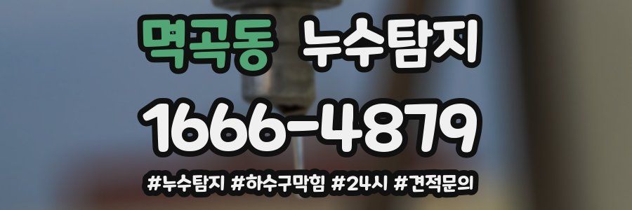 누수닥터 누수탐지