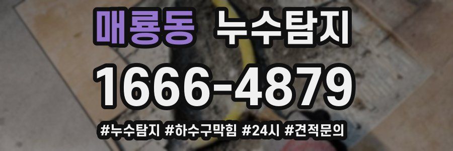 누수닥터 누수탐지