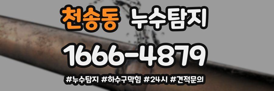 누수닥터 누수탐지