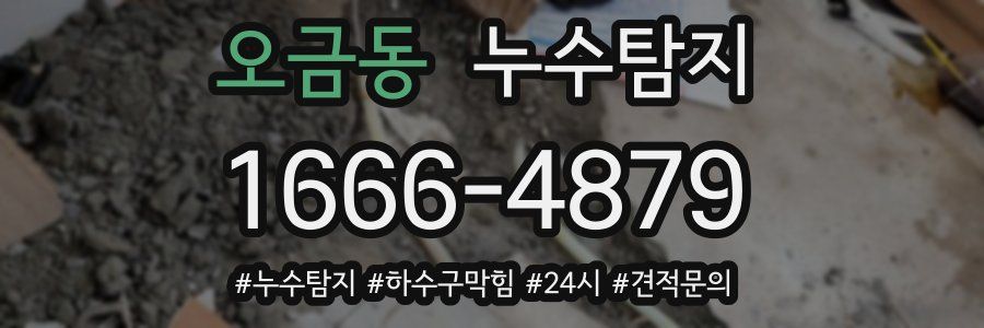 누수닥터 누수탐지