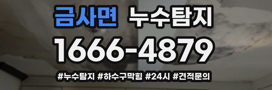 누수닥터 누수탐지