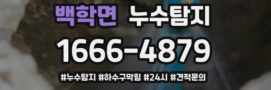 누수닥터 누수탐지