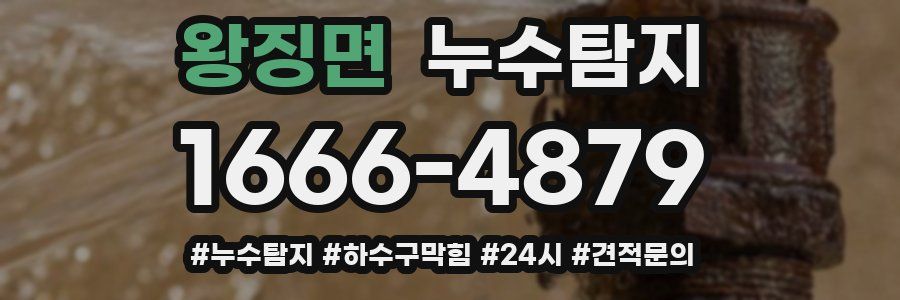 누수닥터 누수탐지
