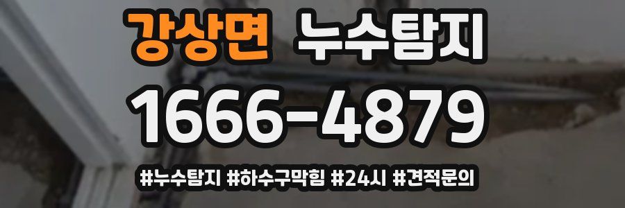 누수닥터 누수탐지