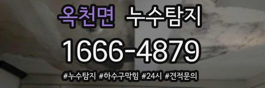 누수닥터 누수탐지