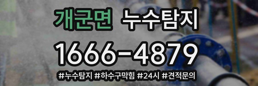누수닥터 누수탐지