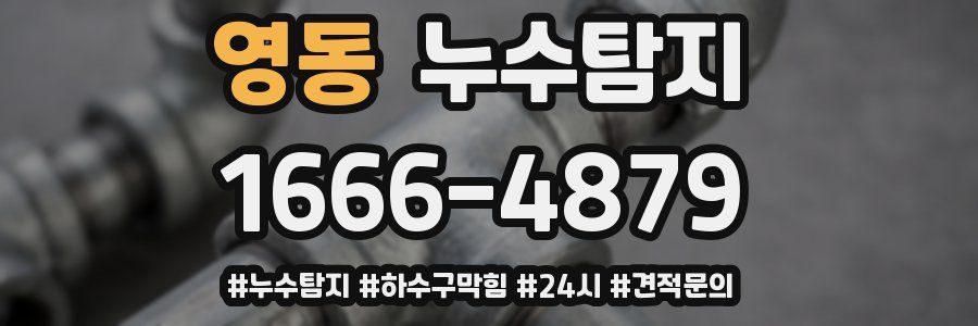 누수닥터 누수탐지