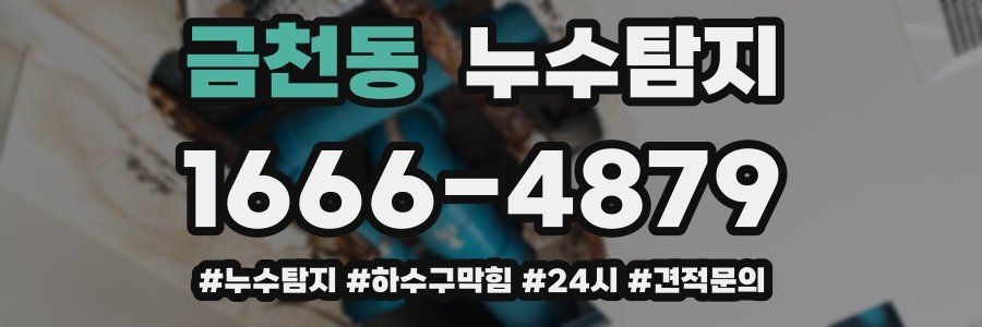 누수닥터 누수탐지