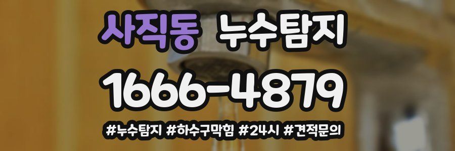 누수닥터 누수탐지