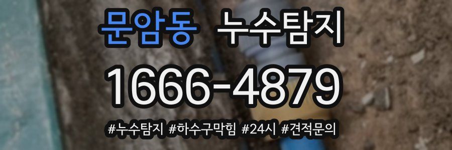 누수닥터 누수탐지