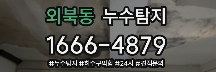 누수닥터 누수탐지