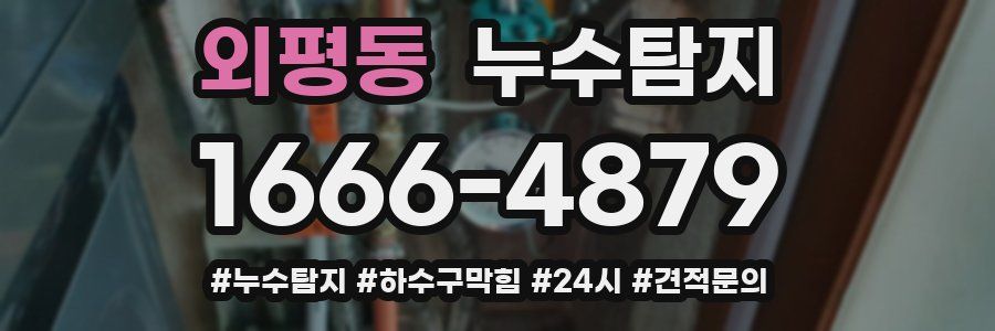 누수닥터 누수탐지