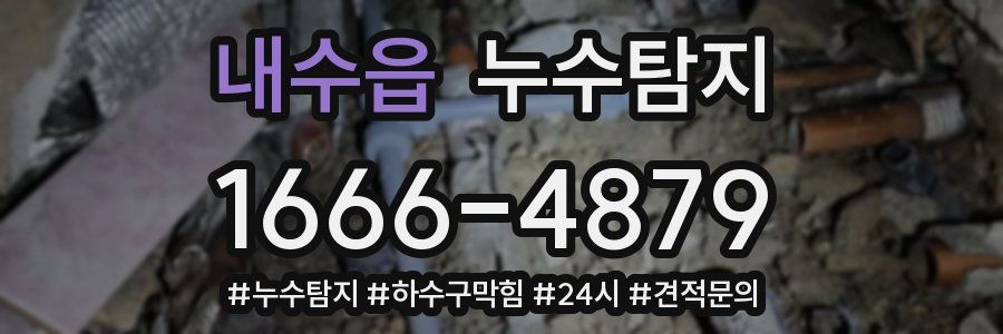 누수닥터 누수탐지