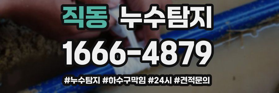 누수닥터 누수탐지