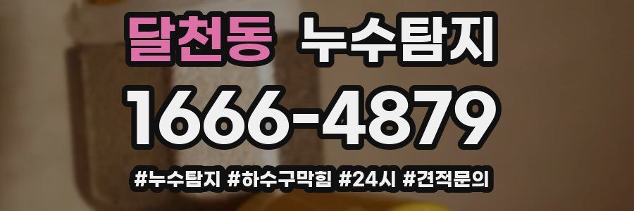 누수닥터 누수탐지