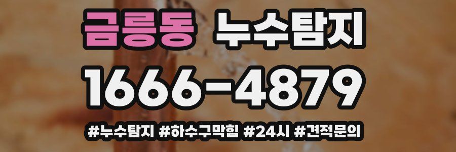 누수닥터 누수탐지