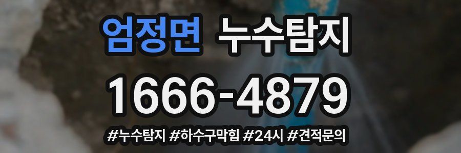 누수닥터 누수탐지