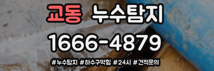 누수닥터 누수탐지