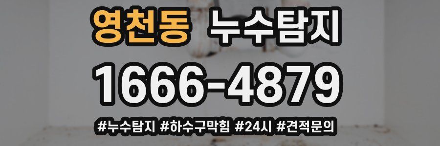 누수닥터 누수탐지