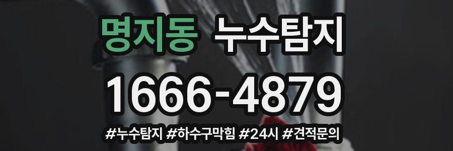 누수닥터 누수탐지