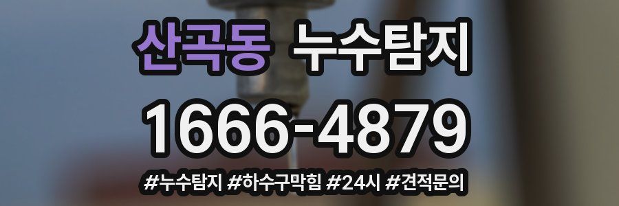 누수닥터 누수탐지