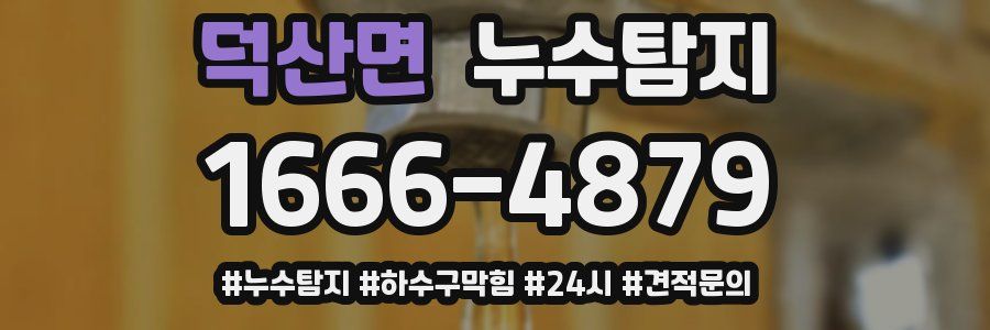 누수닥터 누수탐지
