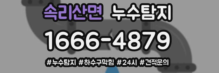 누수닥터 누수탐지