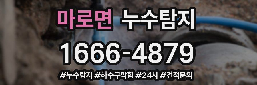 누수닥터 누수탐지