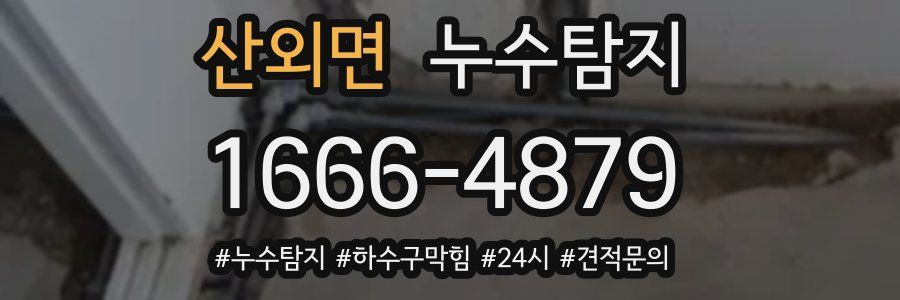 누수닥터 누수탐지