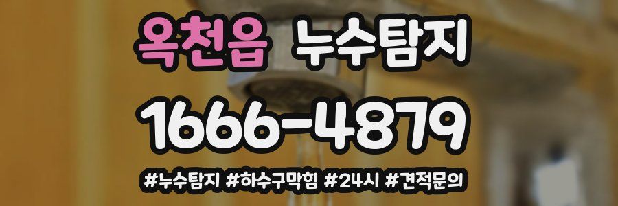 누수닥터 누수탐지