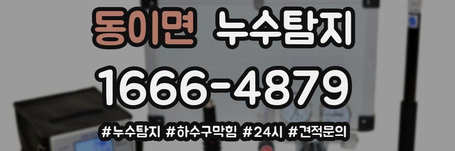 누수닥터 누수탐지