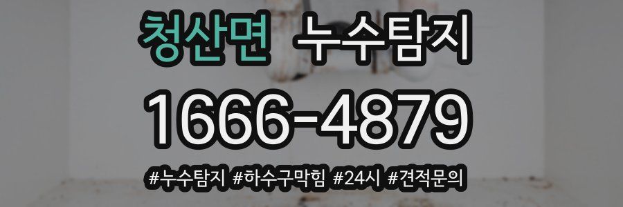 누수닥터 누수탐지