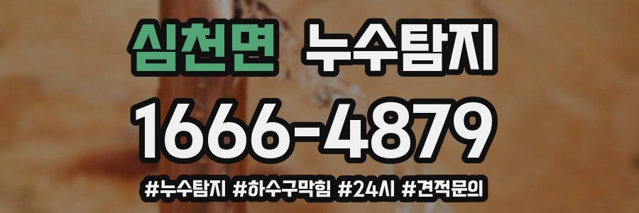 누수닥터 누수탐지