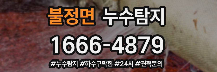 누수닥터 누수탐지