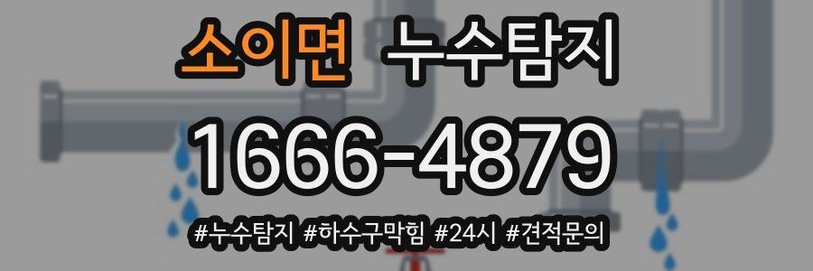 누수닥터 누수탐지