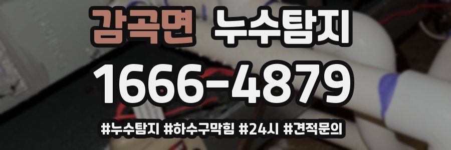 누수닥터 누수탐지