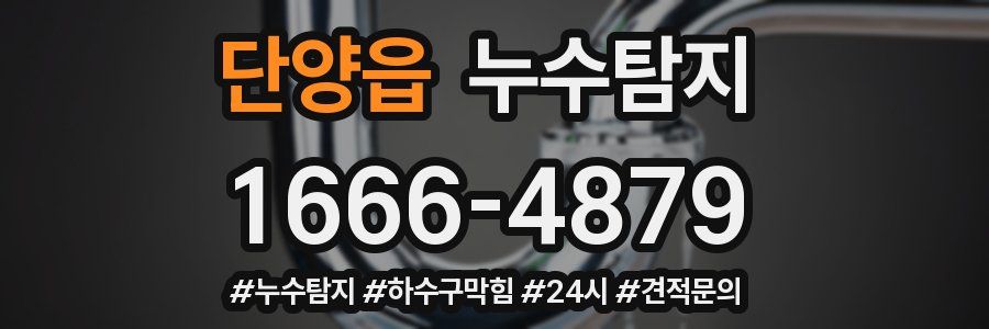 누수닥터 누수탐지
