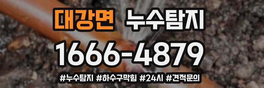 누수닥터 누수탐지