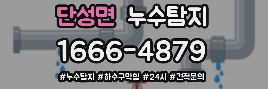 누수닥터 누수탐지