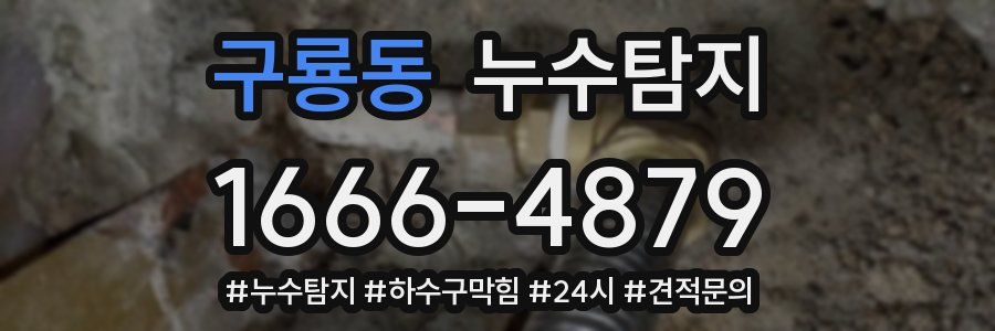 누수닥터 누수탐지