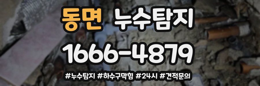 누수닥터 누수탐지