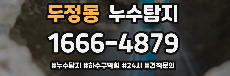 누수닥터 누수탐지