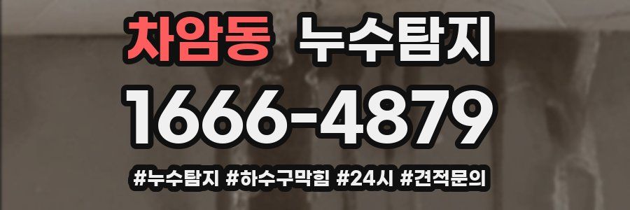 누수닥터 누수탐지